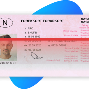 Norwegian Drivers License