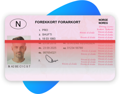 Norwegian Drivers License
